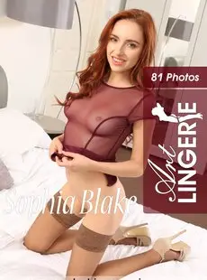 Art Lingerie Sophia Blake Set 8030 x81 5616x3744 2017 09 30