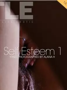 net Self Esteem 1