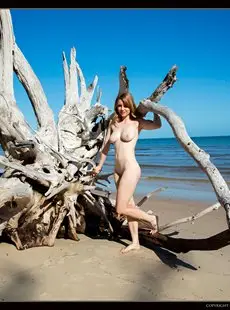 Nude Muse Misty Day   Driftwood x103 9000px 08 30 2016