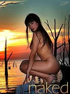 Walterbosque Art 2009 09 04 Lola Naked Trees X38