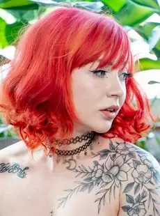 Evaray Photo Album Wild At Home Suicidegirls