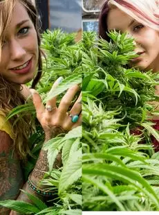 20210422 SuicideGirls Circa Cultivation Cuties x60 5472px 04 20 2021