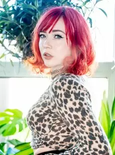 Evaray Photo Album Wild At Home Suicidegirls