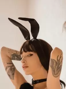 Shameless Photo Album Bad Bunny SuicideGirls