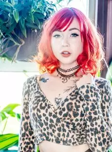 Evaray Photo Album Wild At Home Suicidegirls