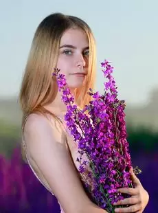 Dakota Pink Lavender Fields Nude Gallery Photo 125 4480x6720