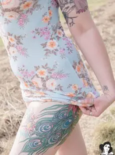 Suicide Girls Chibbi Hitchhikers Guide To Booty 07072018 X46 5184x3456px