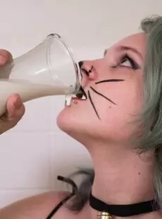 Vickiwinters Photo Album Kitten And Milk