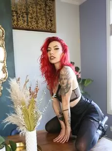 Avafae Photo Album Hello Neighbors SuicideGirls