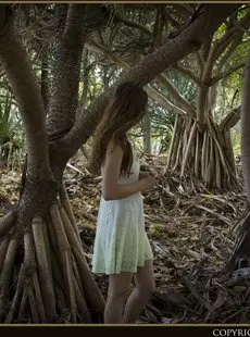 Nude Muse Evelyn Pandanus Forest 111515 x65 5000px