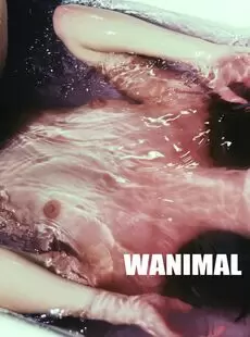 Wanimal 2013 10