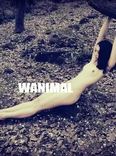 Wanimal 2013 10