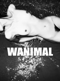 Wanimal 2017 06 Official154Pics Biger Modfied