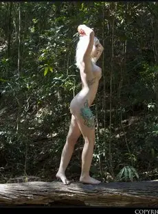 Nude Muse Arachnie Nude On Log 031116 x79 5000px