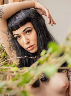 Suicidegirls 2022 04 01 Arson Unorthodox 5080684 X44