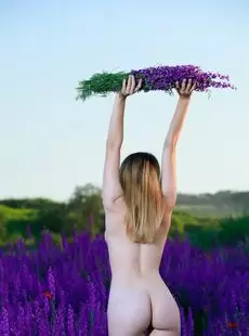 Dakota Pink Lavender Fields Nude Gallery Photo 125 4480x6720