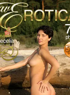 AVErotica 2016-06-07 - Cecelia - Nude Beach (x75) 37445616 151897756