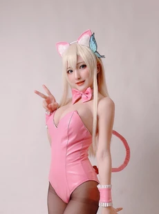 Fantasy Factory Coser Ding 2108 193P4V315GB