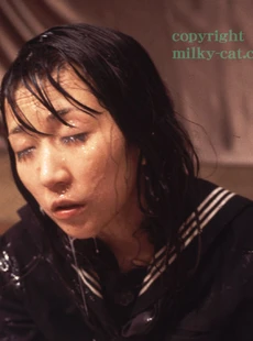 Milky Cat mc10